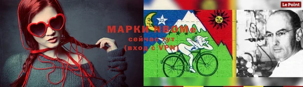 хмурый Нея