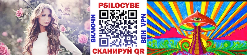Псилоцибиновые грибы мицелий  гидра ССЫЛКА  Удачный 